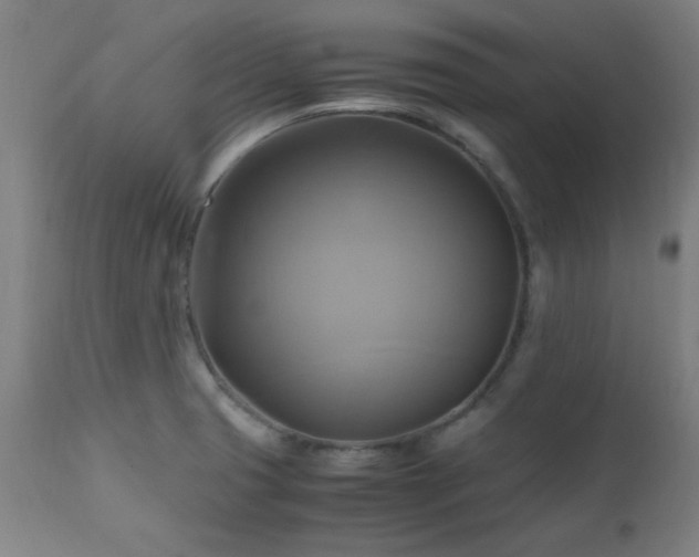 X0000112971425200908271130