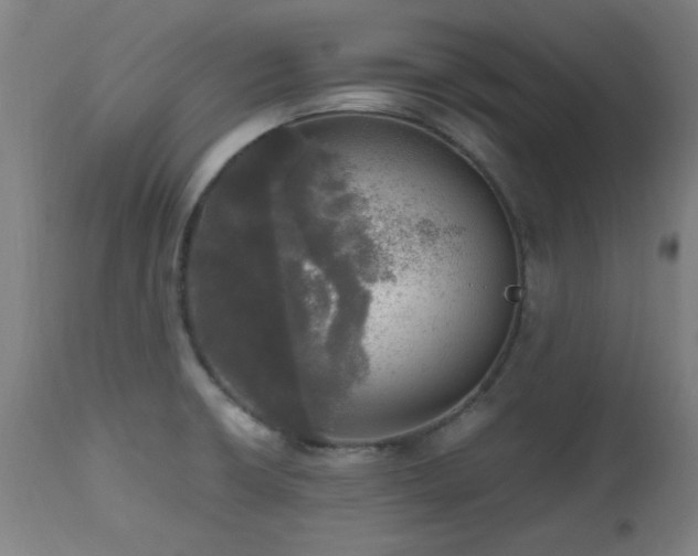 X0000112971426200908271130