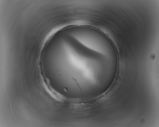 X0000112971429200908271130