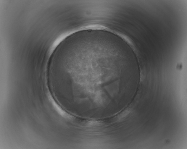 X0000112971430200908271130
