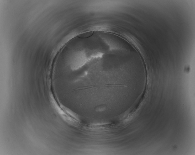 X0000112971434200908271130
