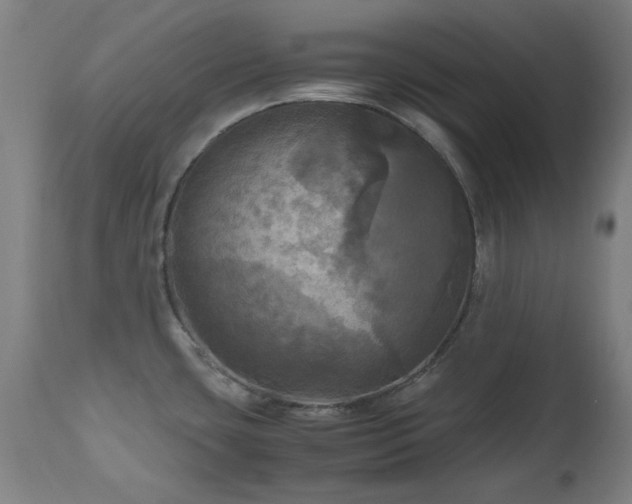 X0000112971435200908271130
