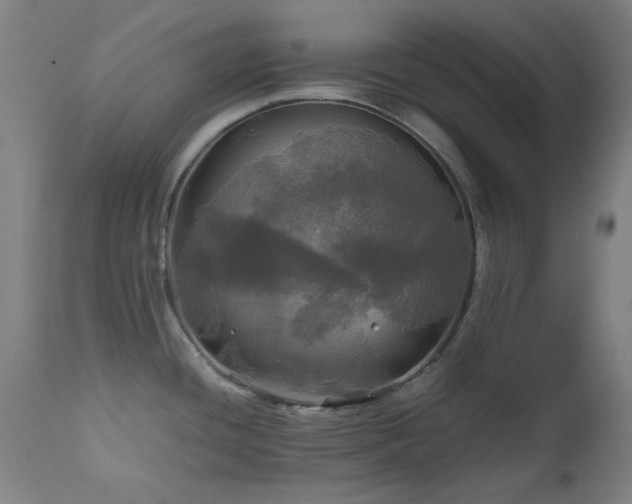 X0000112971436200908271130