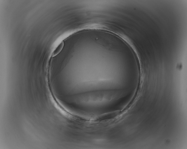 X0000112971437200908271130