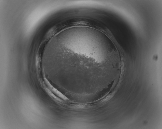X0000112971438200908271130
