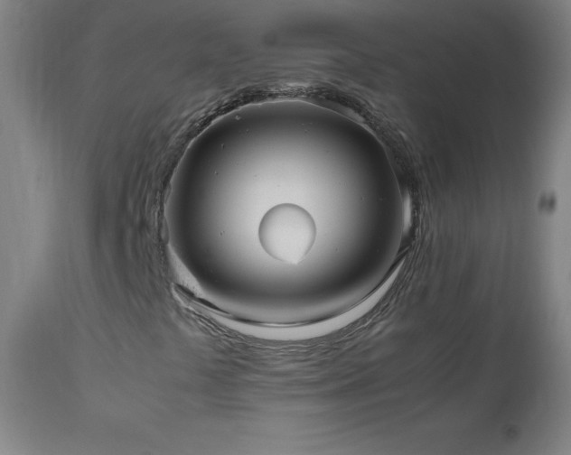 X0000112971441200908271130