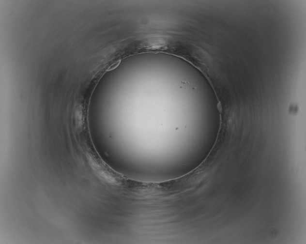 X0000112971442200908271130