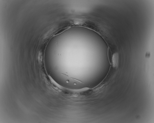 X0000112971443200908271130