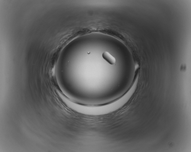 X0000112971444200908271130