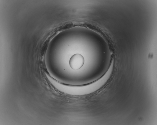 X0000112971445200908271130