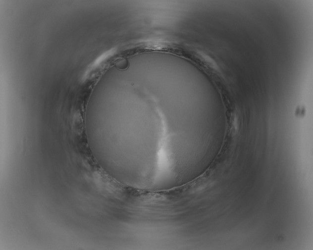 X0000112971446200908271130