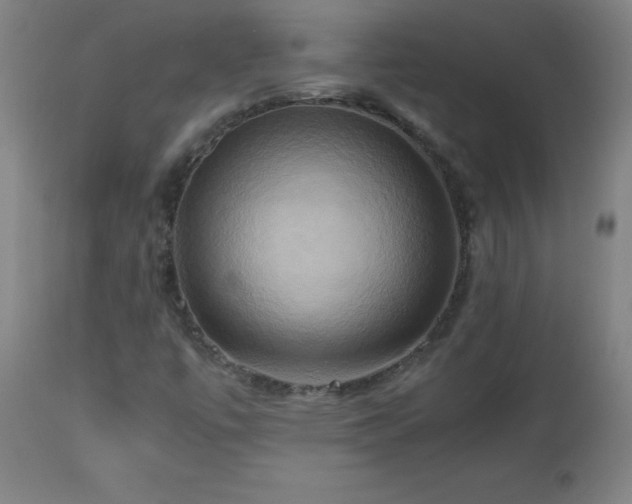 X0000112971447200908271130