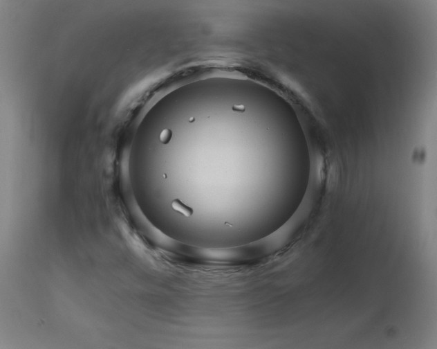 X0000112971448200908271130