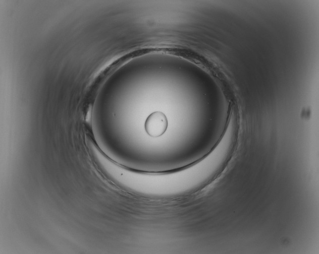 X0000112971449200908271130