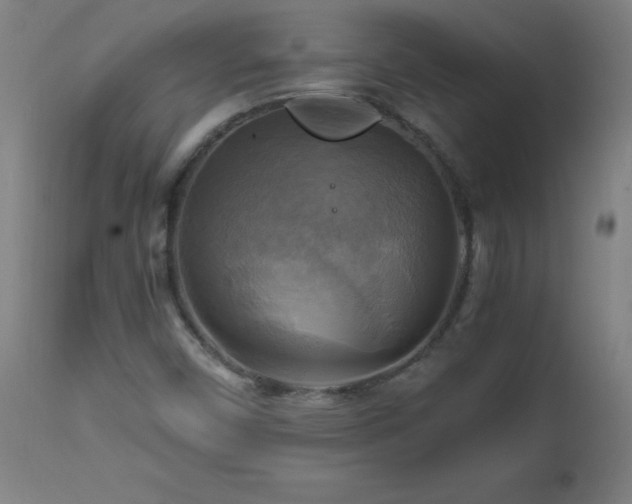 X0000112971450200908271130