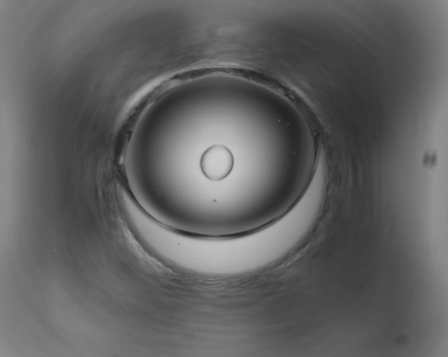 X0000112971452200908271130