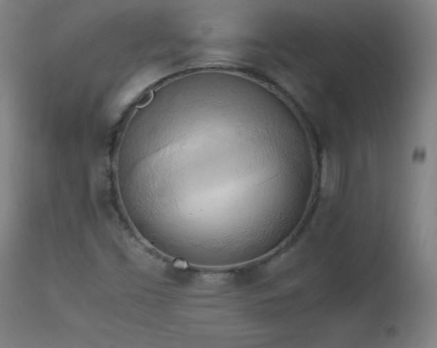 X0000112971453200908271130