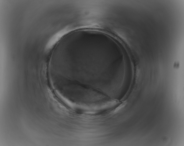X0000112971455200908271130