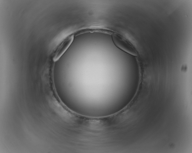 X0000112971456200908271130