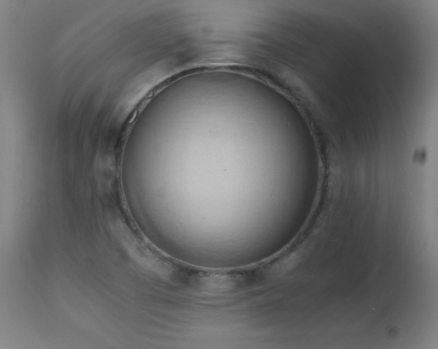 X0000112971457200908271130