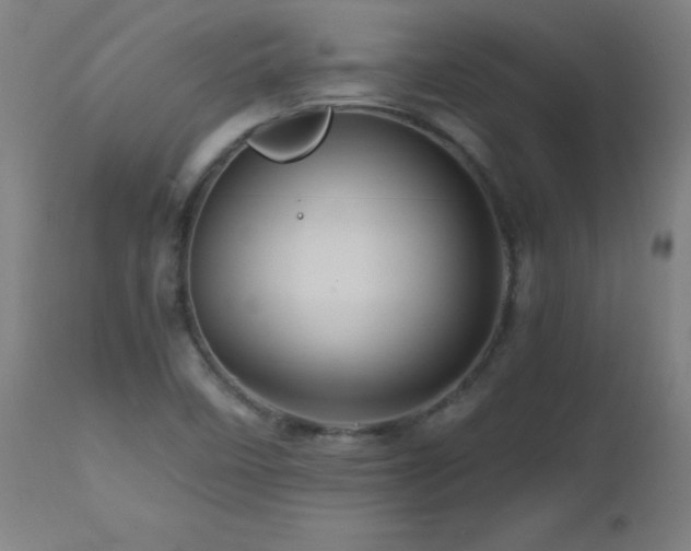 X0000112971458200908271130