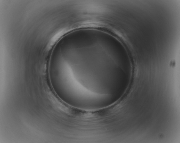 X0000112971459200908271130