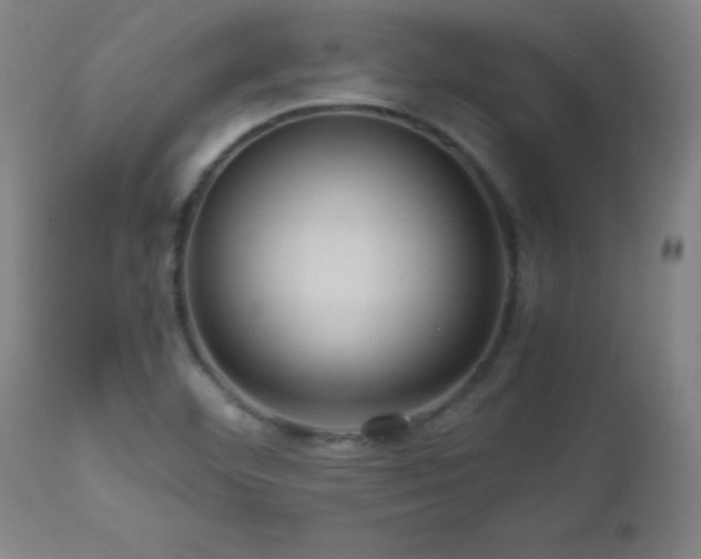 X0000112971460200908271129