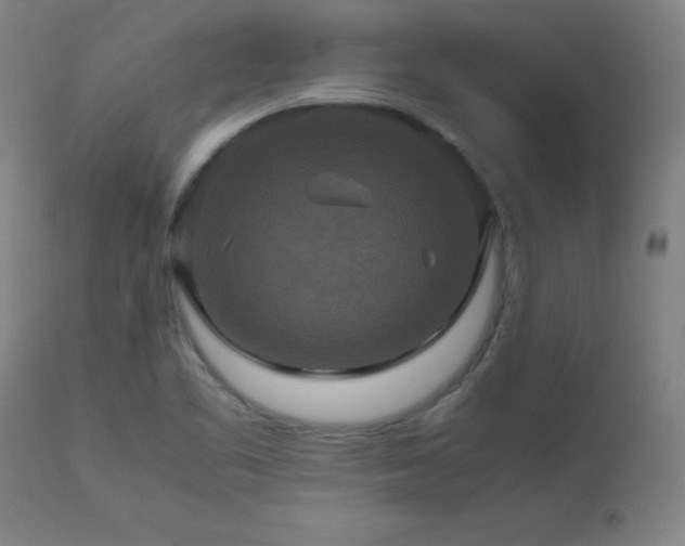 X0000112971461200908271129