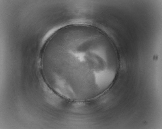 X0000112971462200908271129