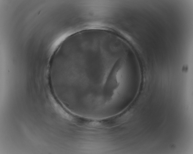 X0000112971463200908271129