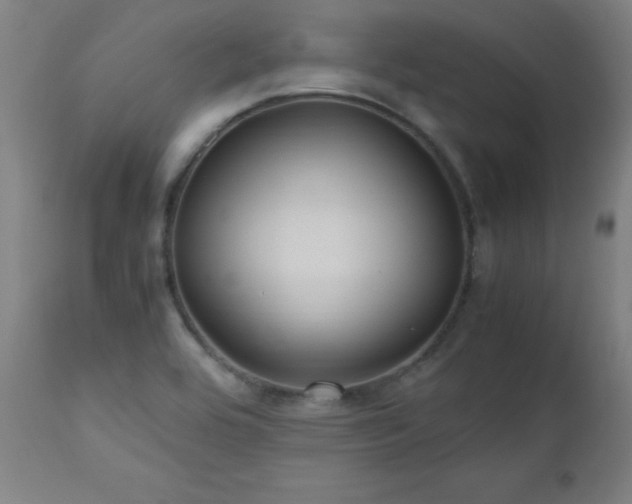 X0000112971464200908271129