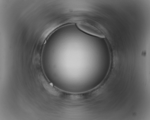 X0000112971465200908271129