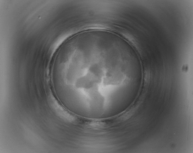 X0000112971466200908271129