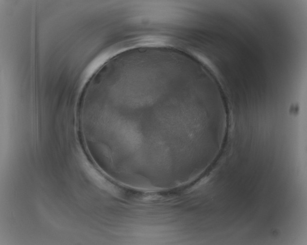 X0000112971467200908271129