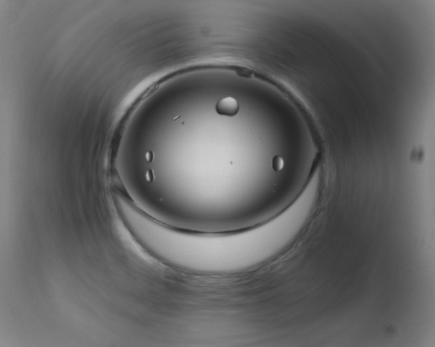 X0000112971468200908271129