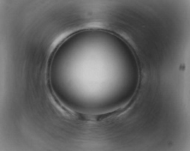 X0000112971469200908271129