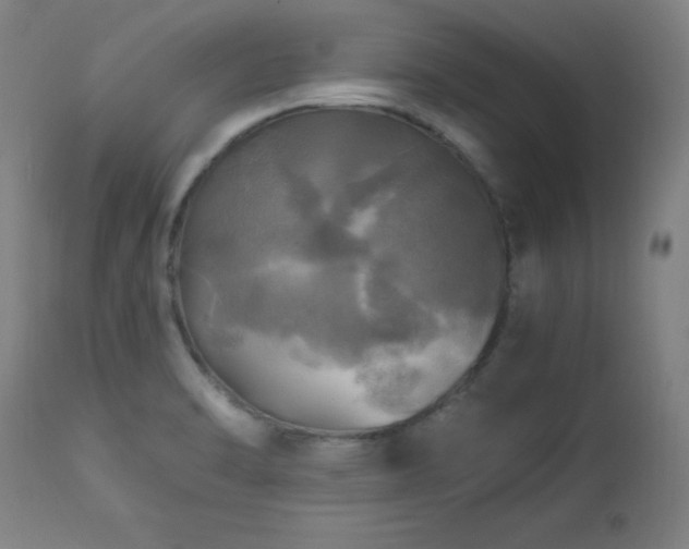 X0000112971470200908271129