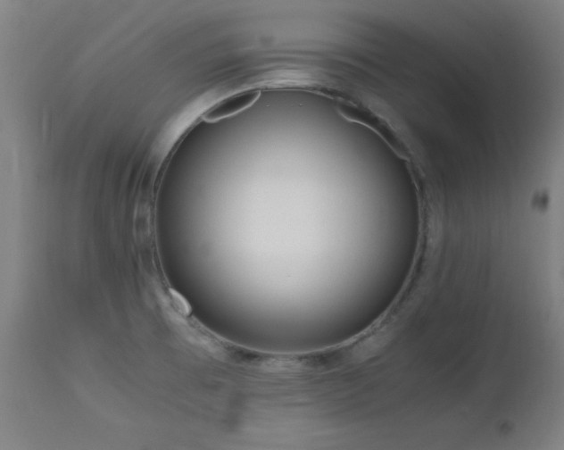 X0000112971473200908271129