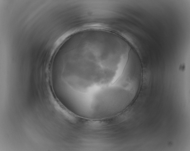 X0000112971474200908271129