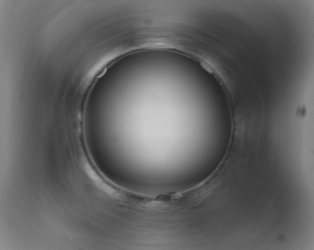 X0000112971476200908271129