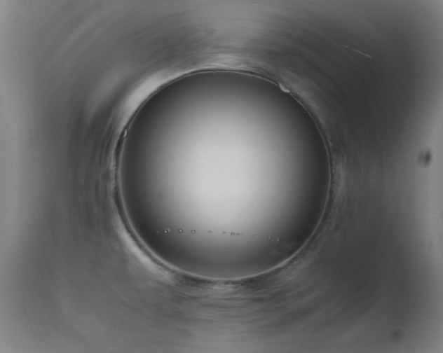 X0000112971479200908271129