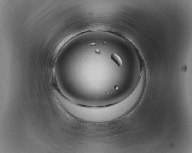 X0000112971481200908271129