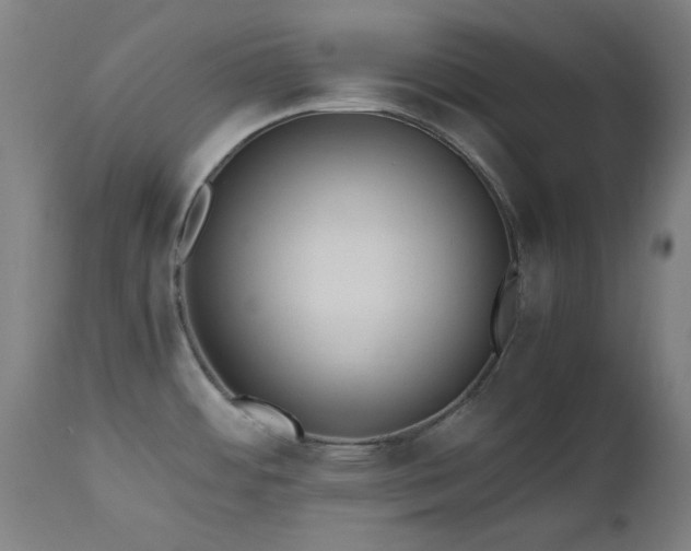 X0000112971484200908271129