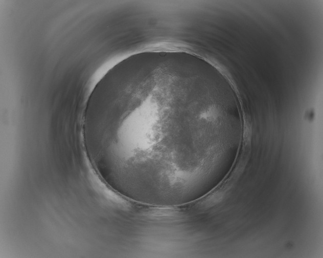 X0000112971486200908271129