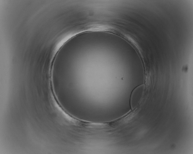 X0000112971487200908271129