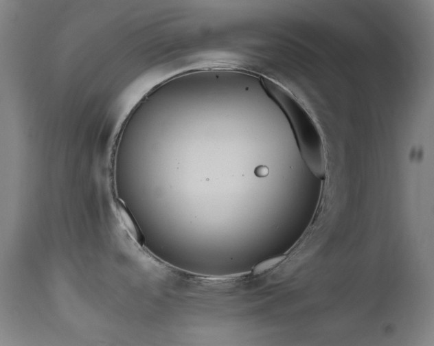 X0000112971488200908271129