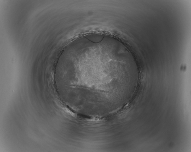 X0000112971489200908271128