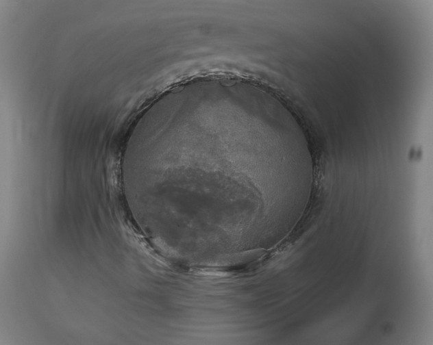 X0000112971490200908271128