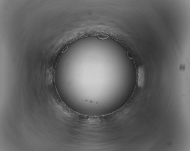 X0000112971491200908271128