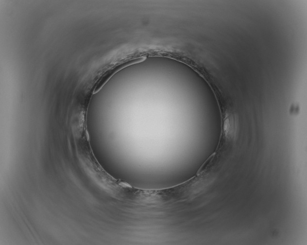 X0000112971492200908271128